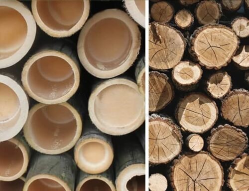 Why Bamboo is the Eco-Friendly Alternative to Wood