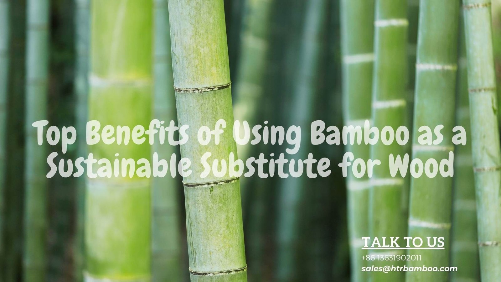 Top-Benefits-of-Using-Bamboo-as-a-Sustainable-Substitute-for-Wood