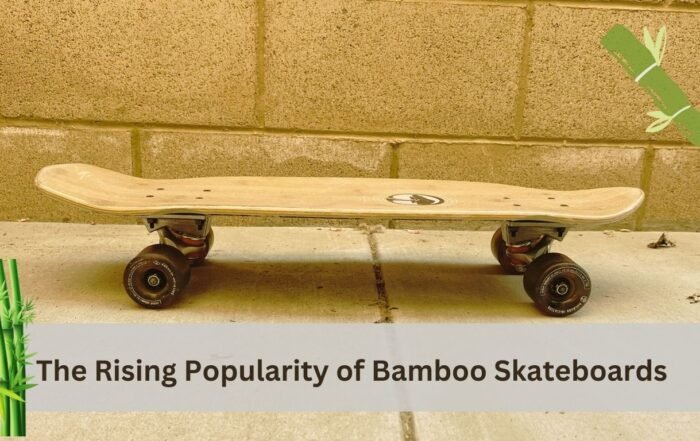 Rising popularity of bamboo longboards