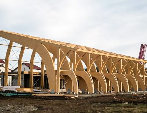 Bamboo vs. Regular Wood: Which One Should You Build With?