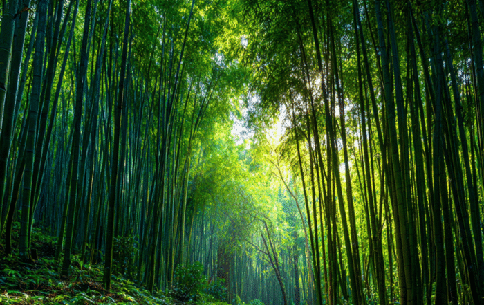 Harnessing Bamboo for Carbon Sequestration: A Powerful Tool Against Climate Change