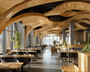 Plyboo Bamboo: A Sustainable Choice for Modern Woodworking and Design