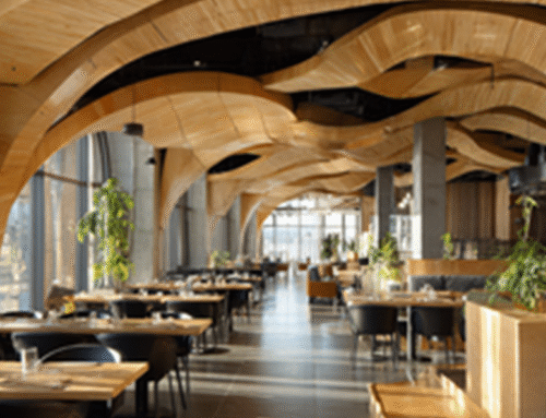 Plyboo Bamboo: A Sustainable Choice for Modern Woodworking and Design