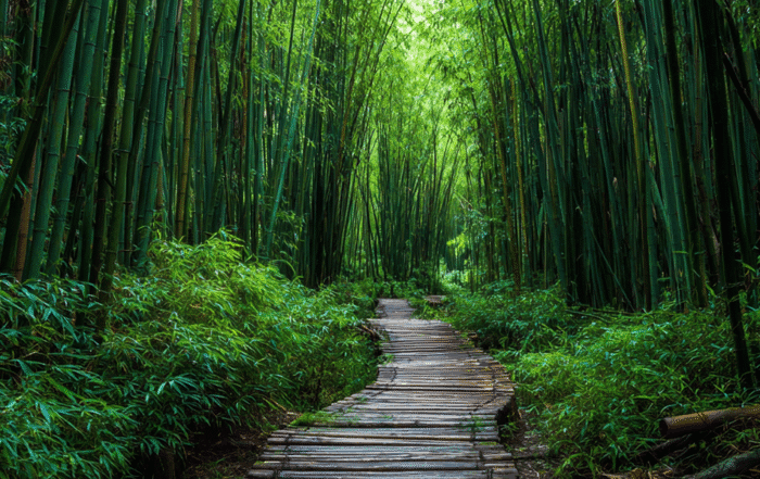 Moso Bamboo: The King of Bamboo and a True Wonder of Nature