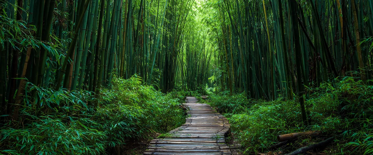 Moso Bamboo: The King of Bamboo and a True Wonder of Nature