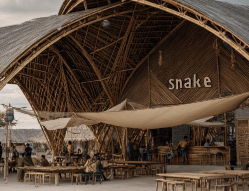 Bamboo Beyond Borders: A Comprehensive Global Bamboo Market Analysis and Sustainable Growth Outlook