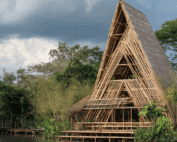 In today’s urgent race toward decarbonization and sustainable development, bamboo innovation has emerged as a standout solution across multiple industries. Building upon its natural renewability and carbon sequestration strengths, recent advances in engineered bamboo, bamboo composites, and bamboo biocomposites are pushing bamboo from a traditional resource to the forefront of cutting-edge material technologies. From bamboo digital fabrication to parametric design bamboo and robotic fabrication bamboo, the industry is unlocking unprecedented performance and scalability, positioning bamboo as a linchpin for the bamboo circular economy and green construction.