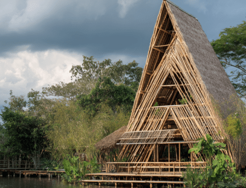 Bamboo Innovation: Emerging Trends and Technologies Reshaping Sustainable Materials
