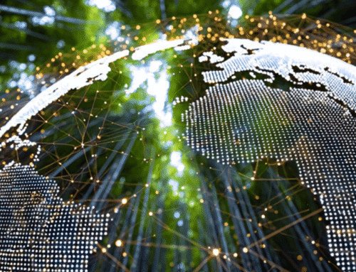 The Environmental Impact of Bamboo Flooring: A Comprehensive Professional Analysis