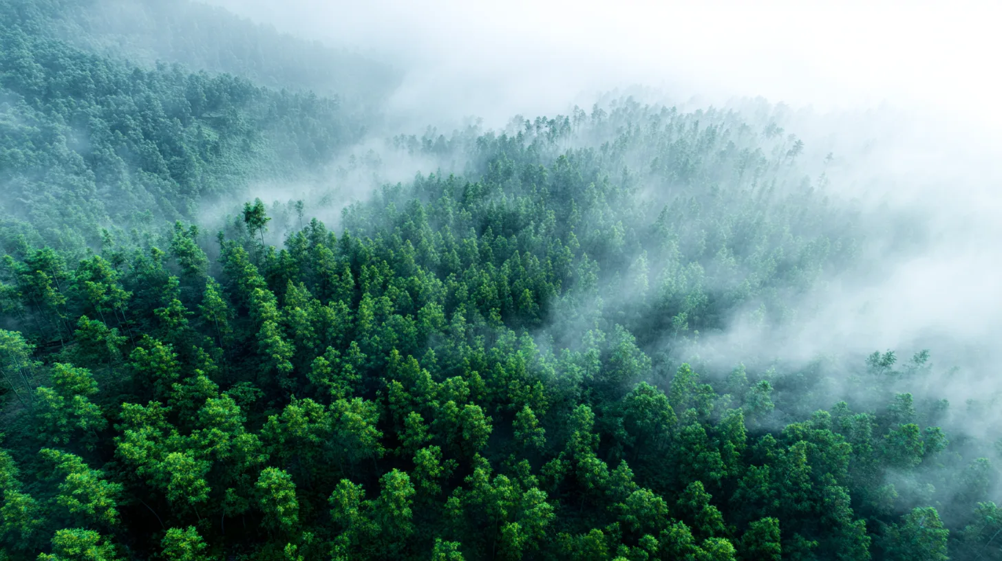 Bamboo’s Versatility Across the Furniture Value Chain Bamboo’s adaptability makes it ideal for many furniture components: Panels and Plywood: Strong, stable bases for cabinets, tables, and shelving. Veneers: Eco-efficient surface upgrades that add aesthetic appeal. Laminated Bamboo Lumber (LBL) and Strand-Woven Board: Perfect for structural parts such as frames and legs with exceptional strength. Molded and Curved Laminates: Innovative seating and decorative elements benefiting from bamboo’s flexibility and workability. Understanding these options allows manufacturers to tailor bamboo use to product requirements and optimize sustainability gains.