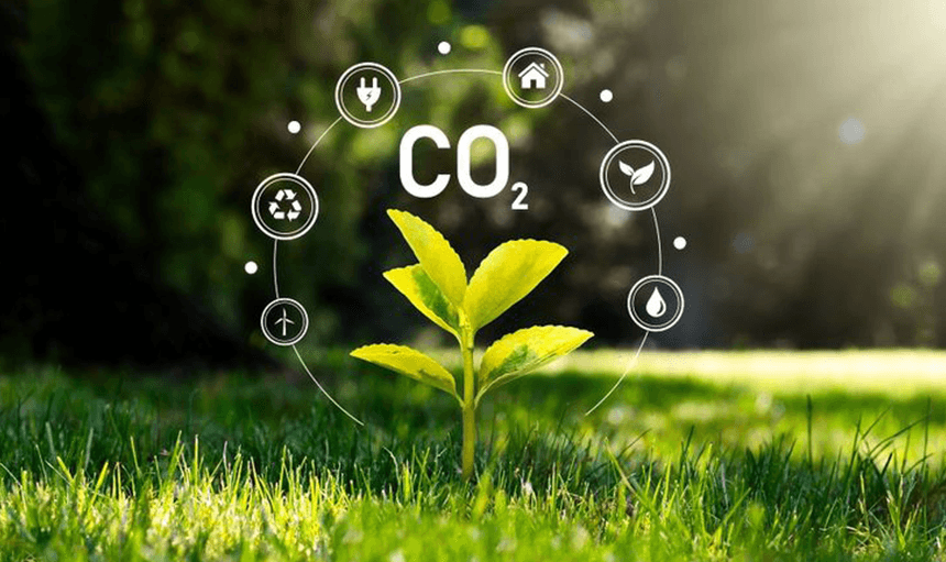 Eco-Friendly-Commitment